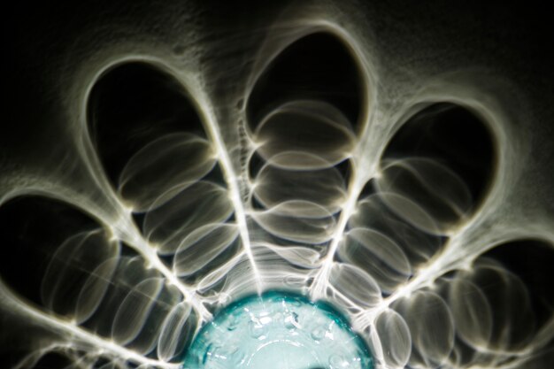 Innowacyjne podejście do regeneracji horyzontalnej kości w nowoczesnej stomatologii